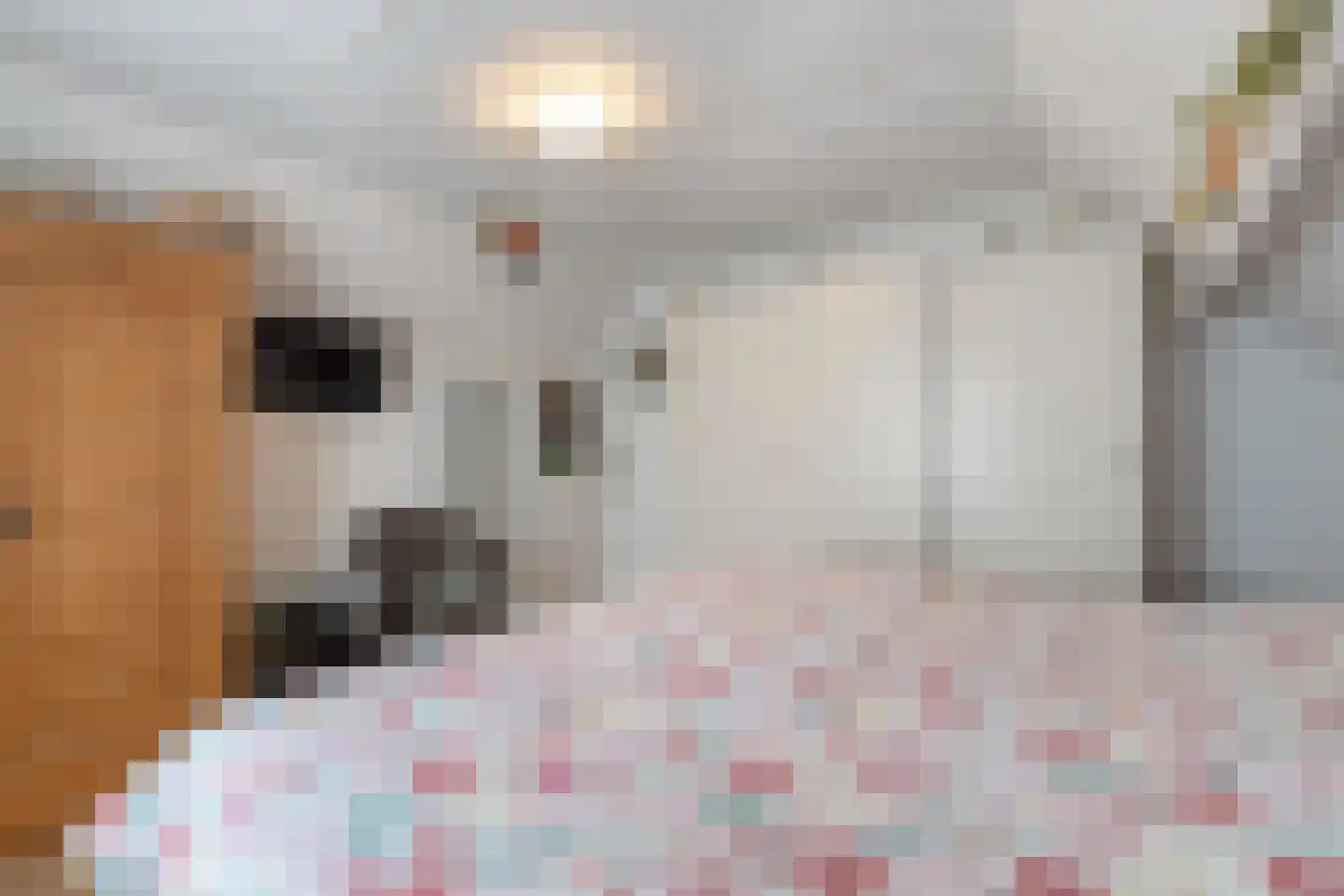 H.N.Nanningastraat 2 Bad Nieuweschans thumbnail 36