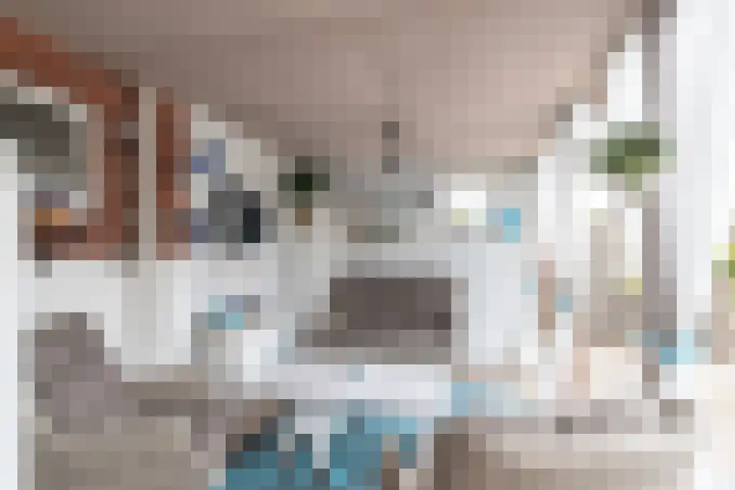 H.N.Nanningastraat 2 Bad Nieuweschans thumbnail 39