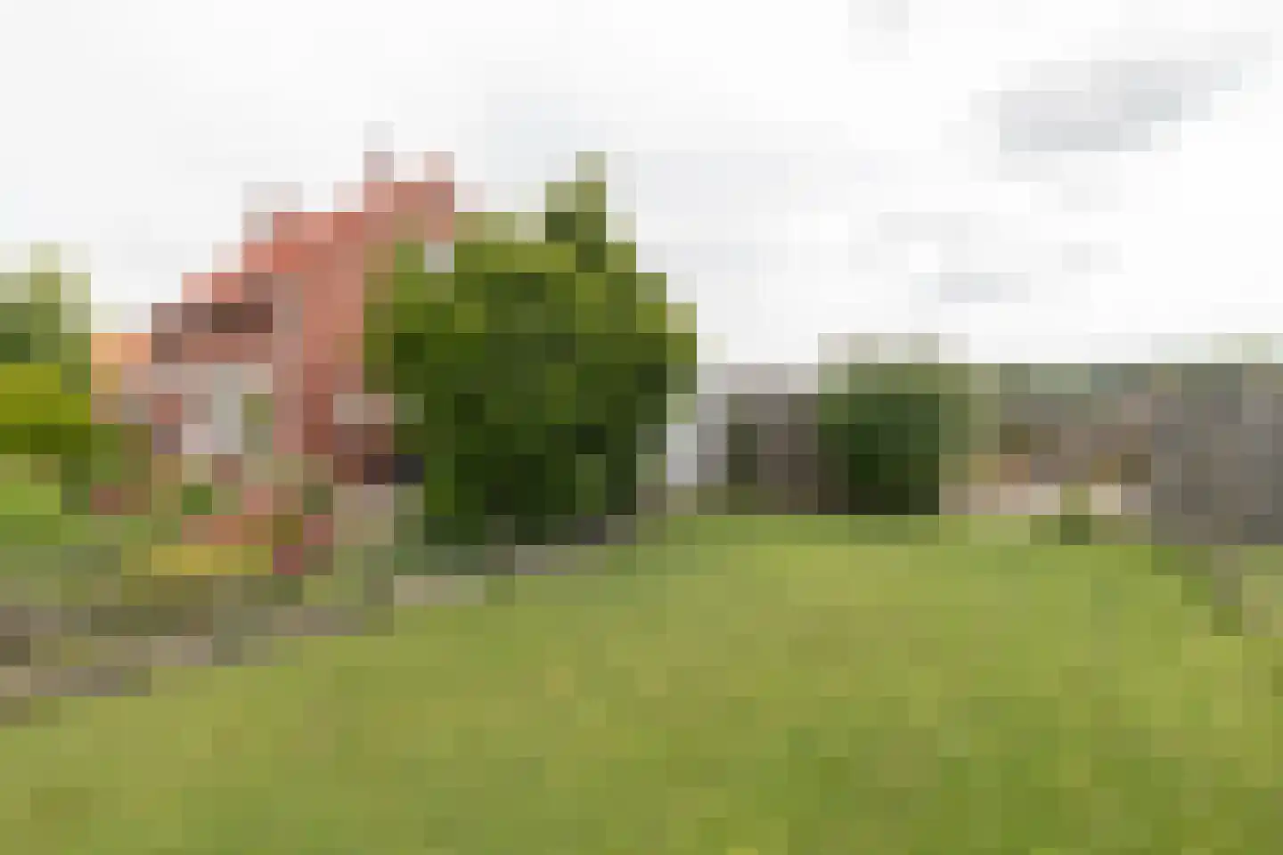 H.N.Nanningastraat 2 Bad Nieuweschans thumbnail 47