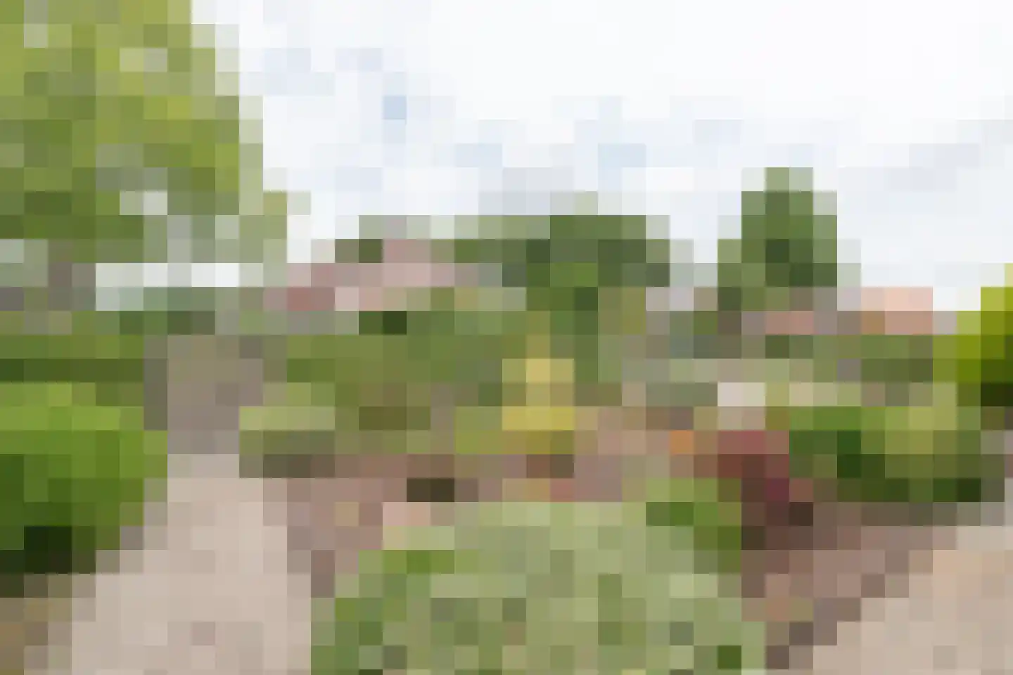 H.N.Nanningastraat 2 Bad Nieuweschans thumbnail 48