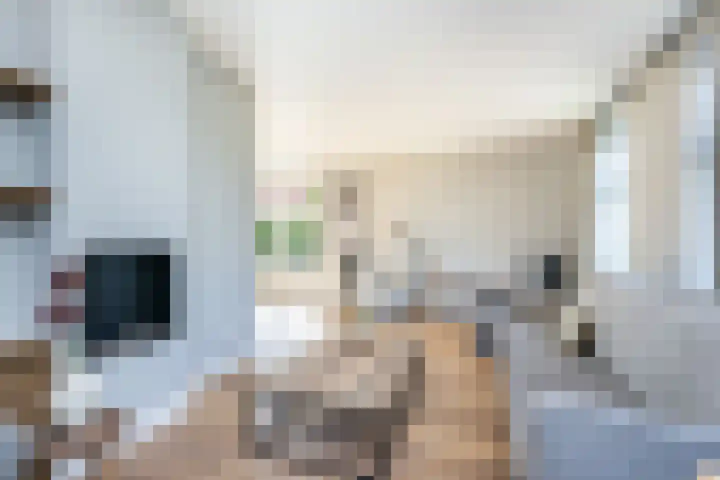 H'Oranjeweg 9 Achthuizen thumbnail 10