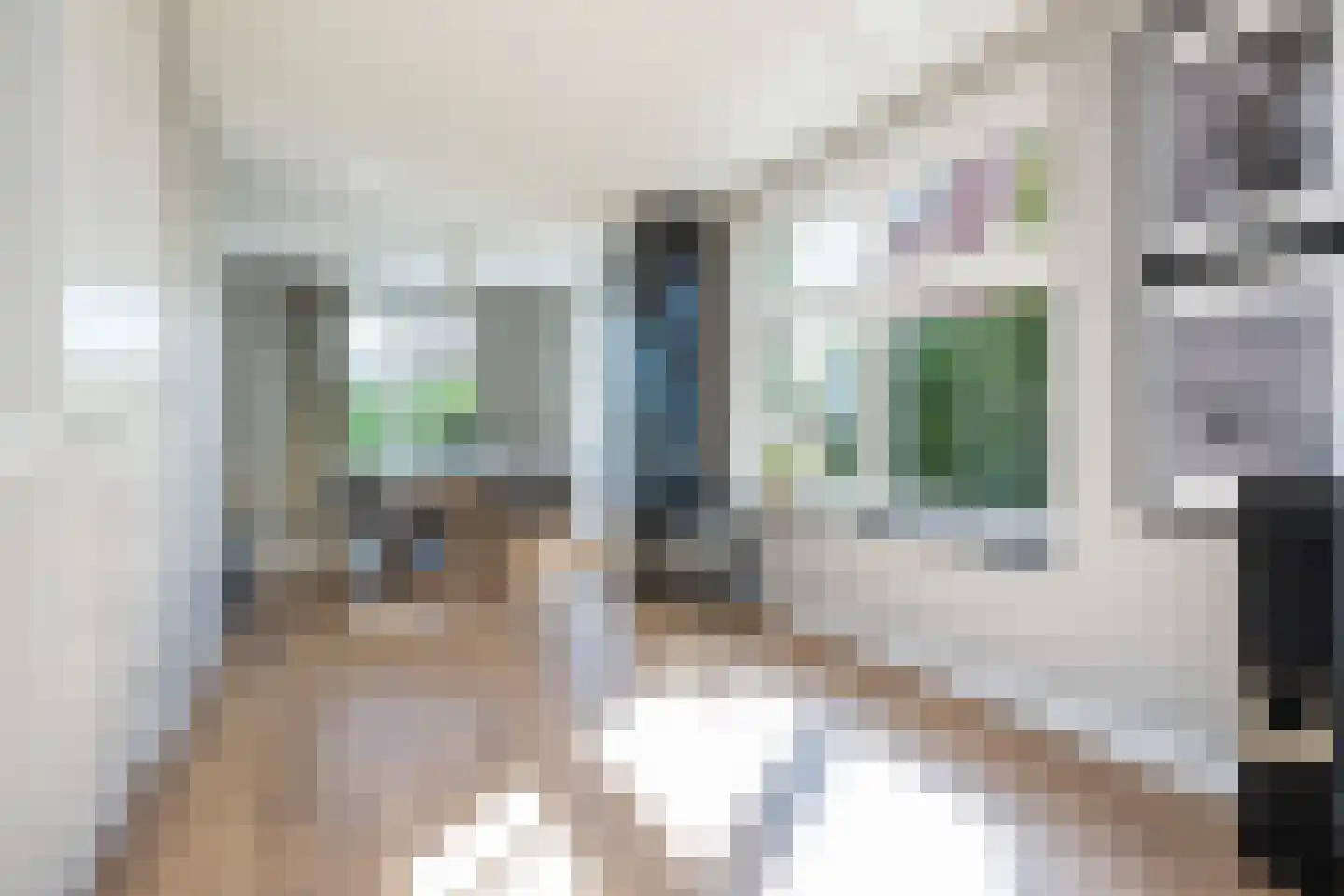 H'Oranjeweg 9 Achthuizen thumbnail 12