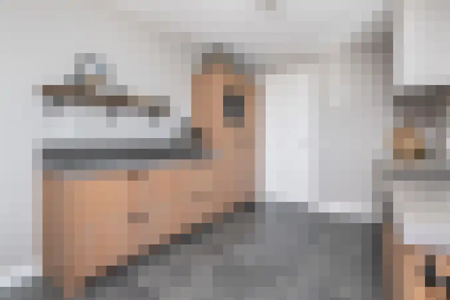 H'Oranjeweg 9 Achthuizen thumbnail 15