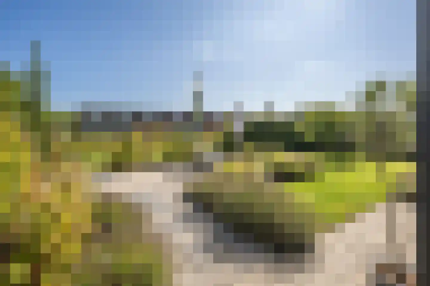 H'Oranjeweg 9 Achthuizen thumbnail 29