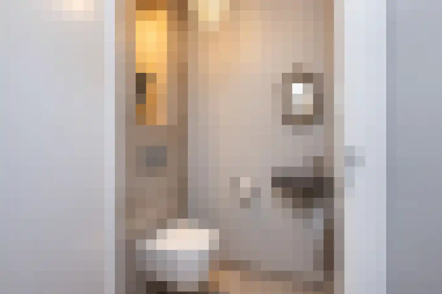 H'Oranjeweg 9 Achthuizen thumbnail 7