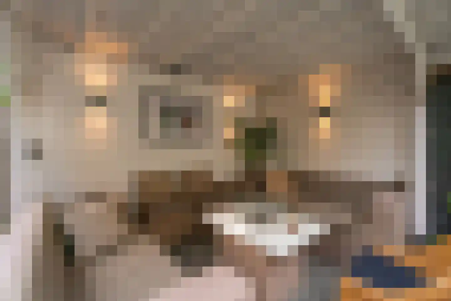H.P. Berlagelaan 13 Oegstgeest thumbnail 52