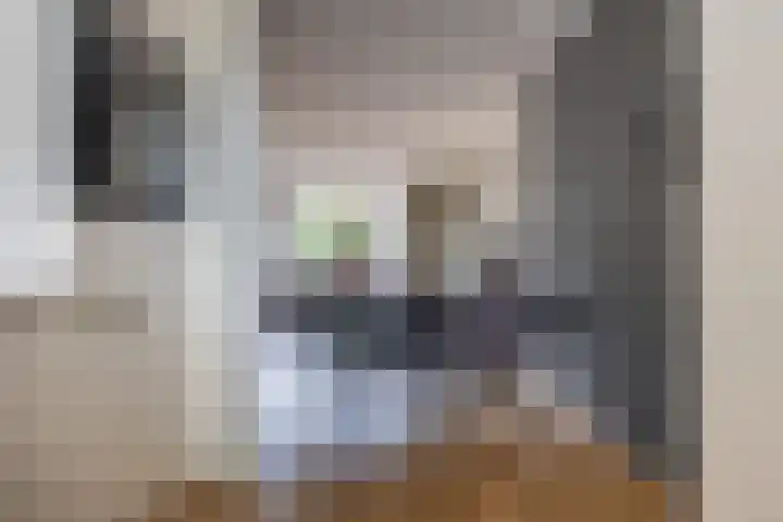H.P. Berlagestraat 51 Assendelft thumbnail 10