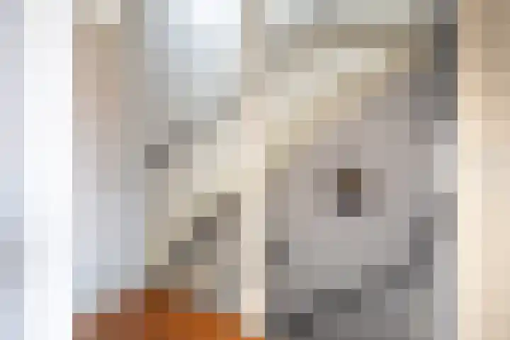 H.P. Berlagestraat 51 Assendelft thumbnail 12