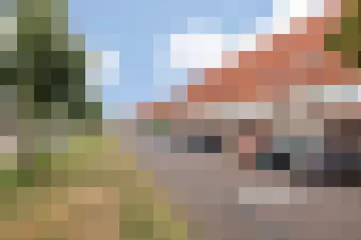 H.P. Berlagestraat 51 Assendelft thumbnail 30