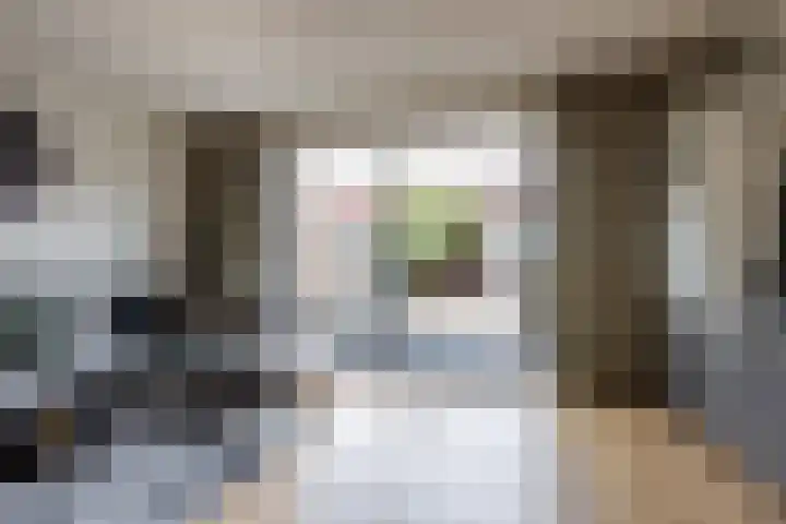 H.P. Berlagestraat 51 Assendelft thumbnail 8