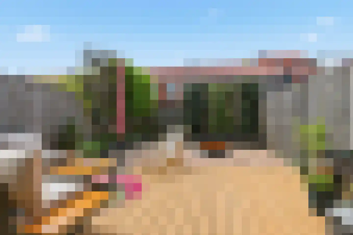 H.P. Berlagestraat 63 Assendelft thumbnail 10