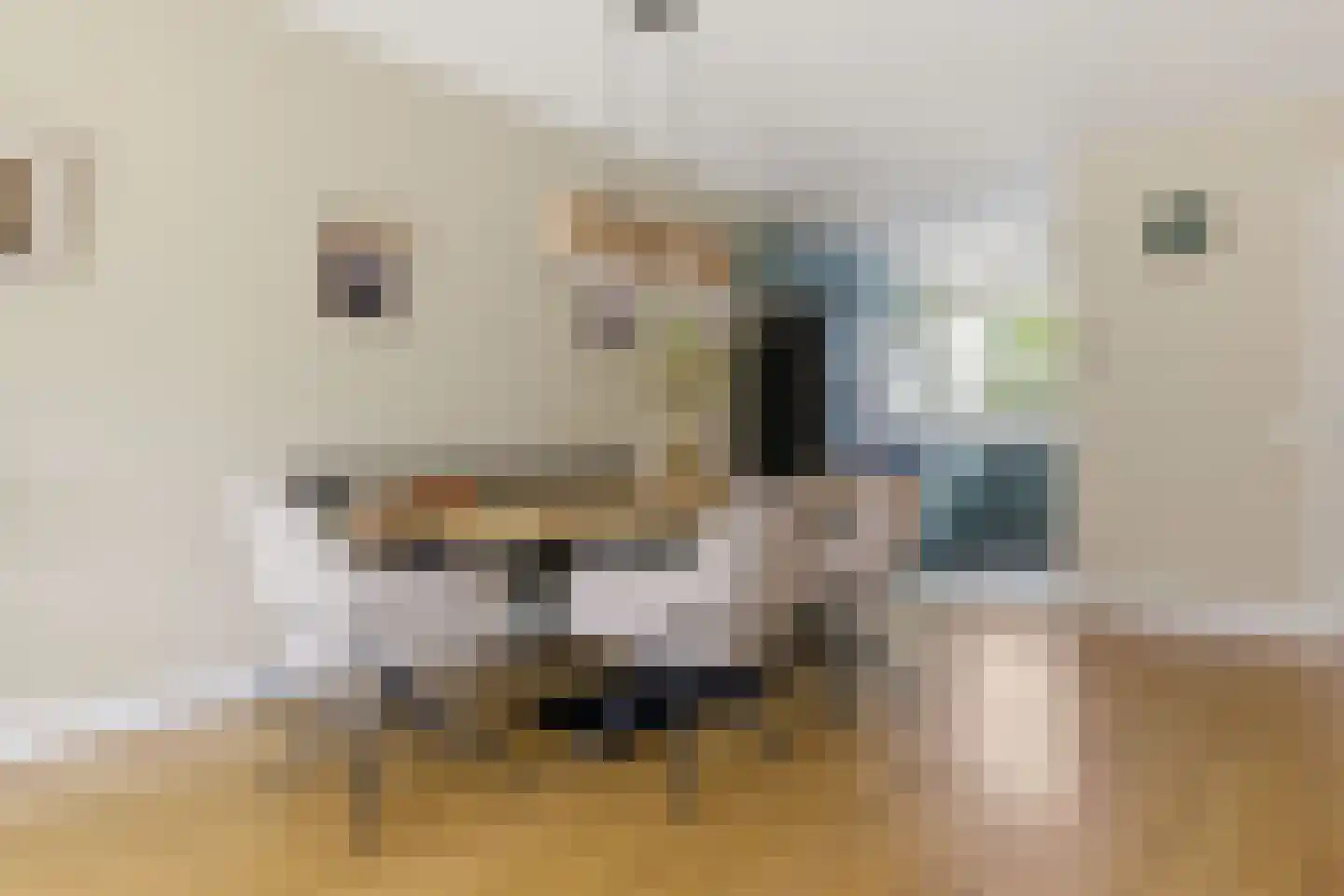 H.P. Berlagestraat 63 Assendelft thumbnail 7