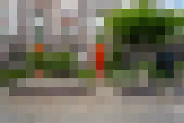 H.P.J. de Vriesstraat 9 Rotterdam thumbnail 27