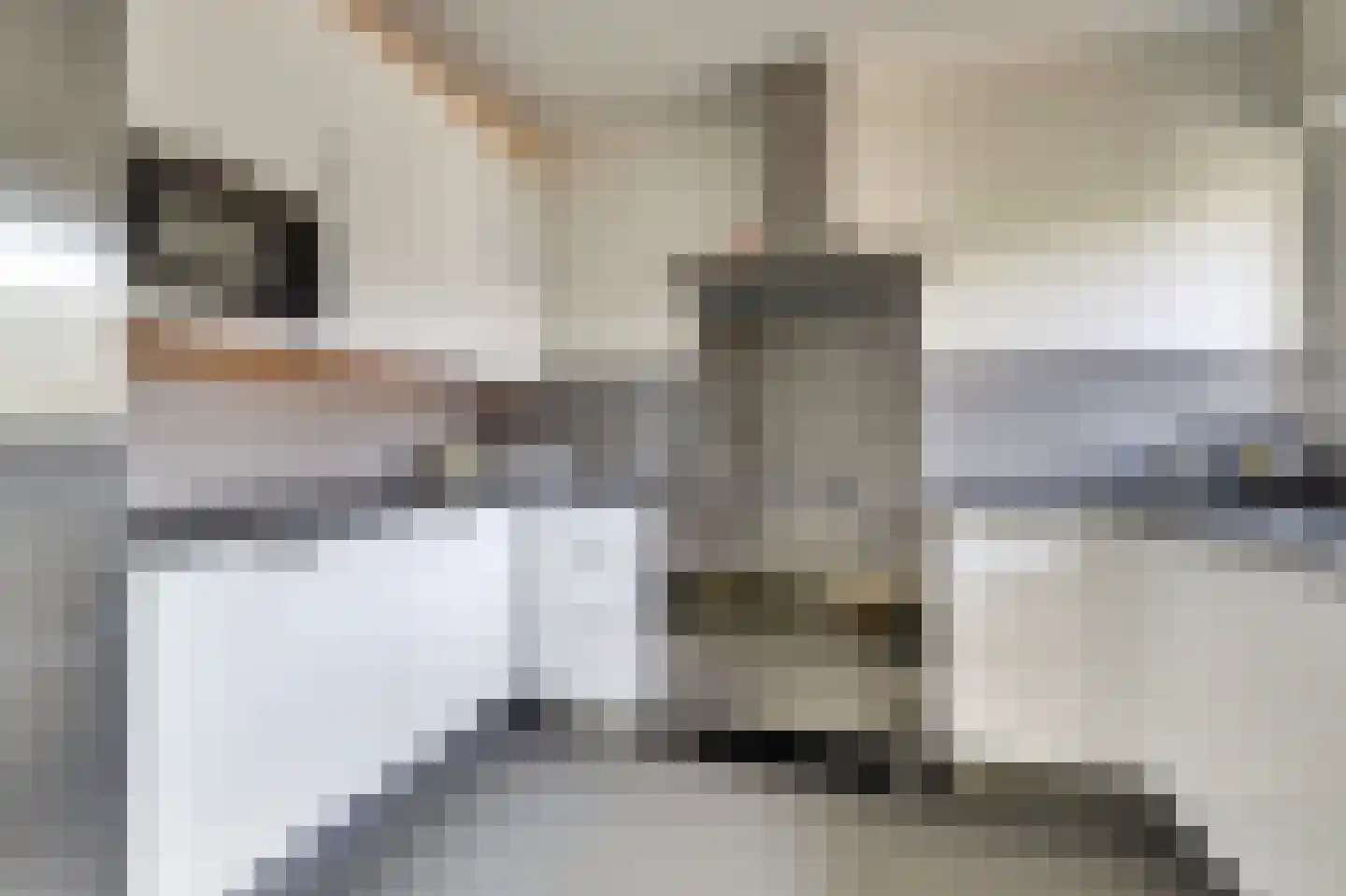H.P. Prangsmalaan 17 Otterlo thumbnail 4