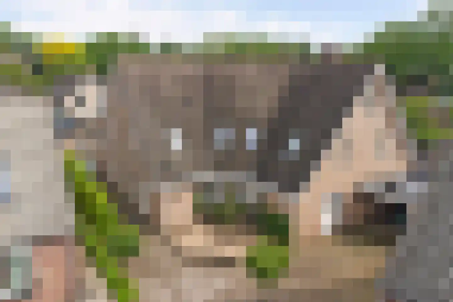 H.P. Prangsmalaan 17 Otterlo thumbnail 41