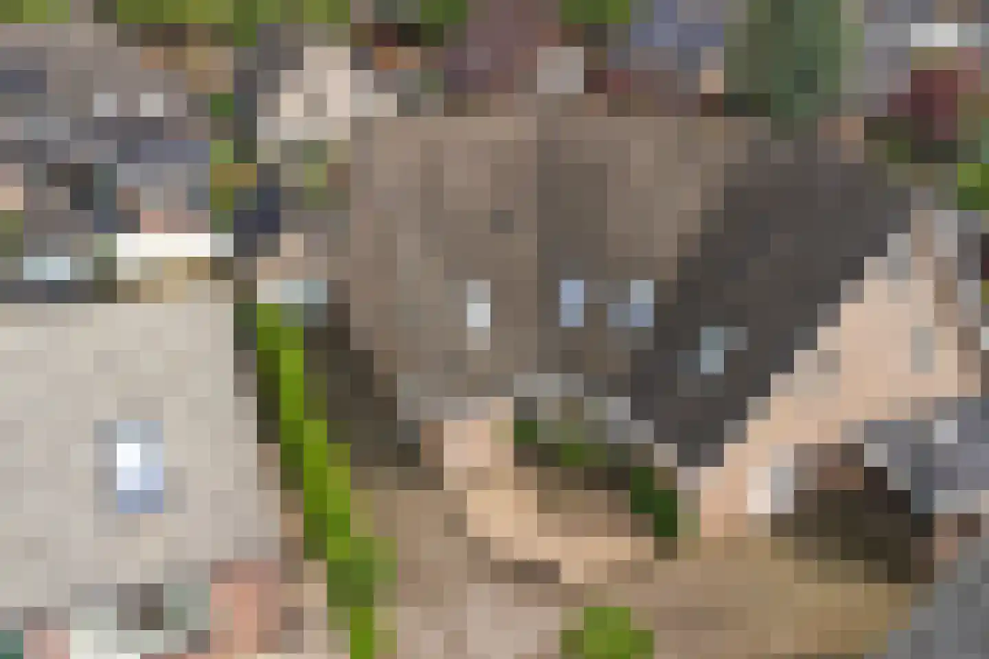 H.P. Prangsmalaan 17 Otterlo thumbnail 42
