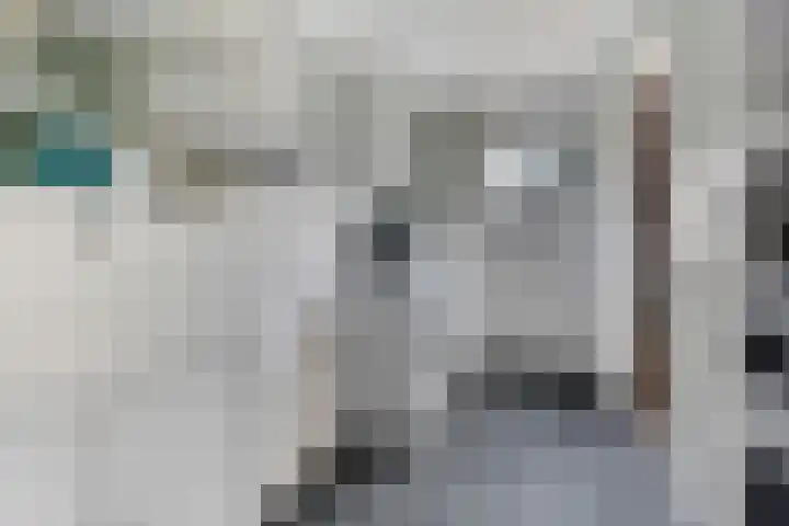H.P. Sickensstraat 3 Bovensmilde thumbnail 20