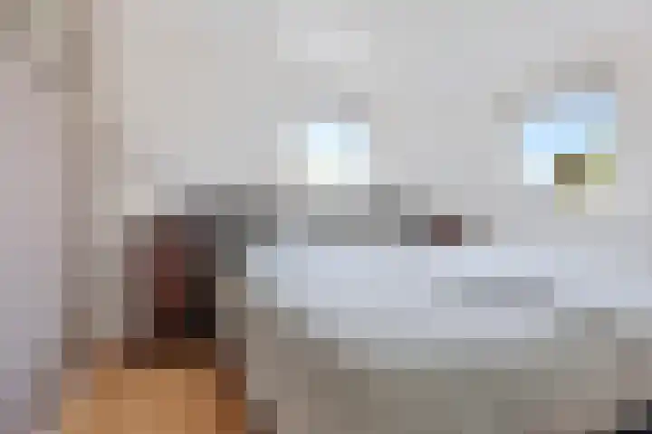 H.P. Sickensstraat 3 Bovensmilde thumbnail 32