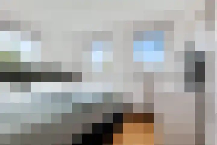 H.P. Sickensstraat 3 Bovensmilde thumbnail 33