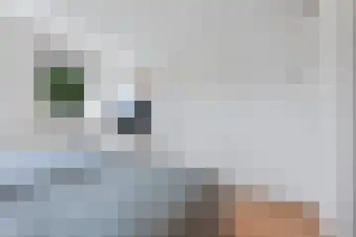 H.P. Sickensstraat 3 Bovensmilde thumbnail 34