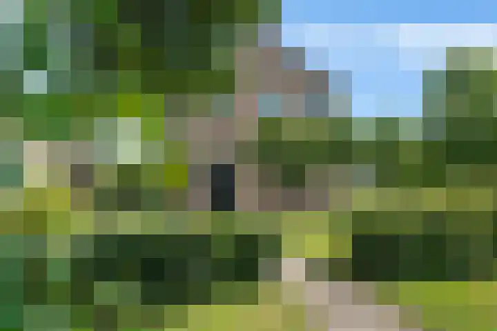 H.P. Sickensstraat 3 Bovensmilde thumbnail 7