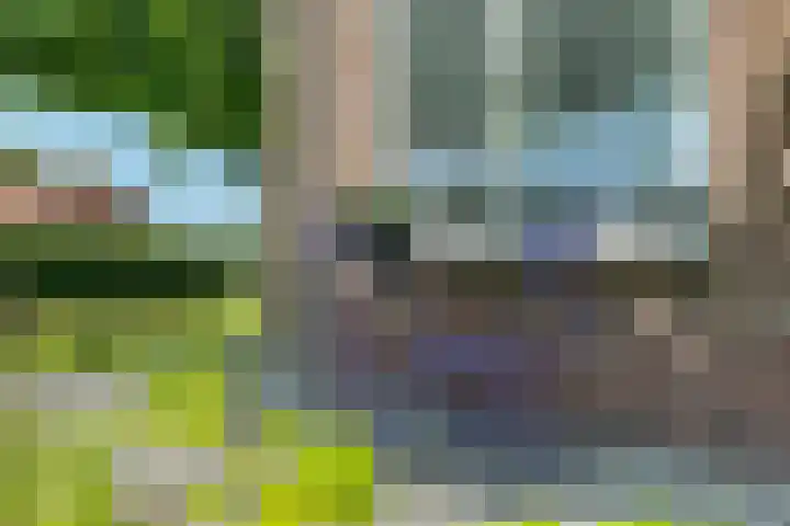 H.P. Sickensstraat 3 Bovensmilde thumbnail 8