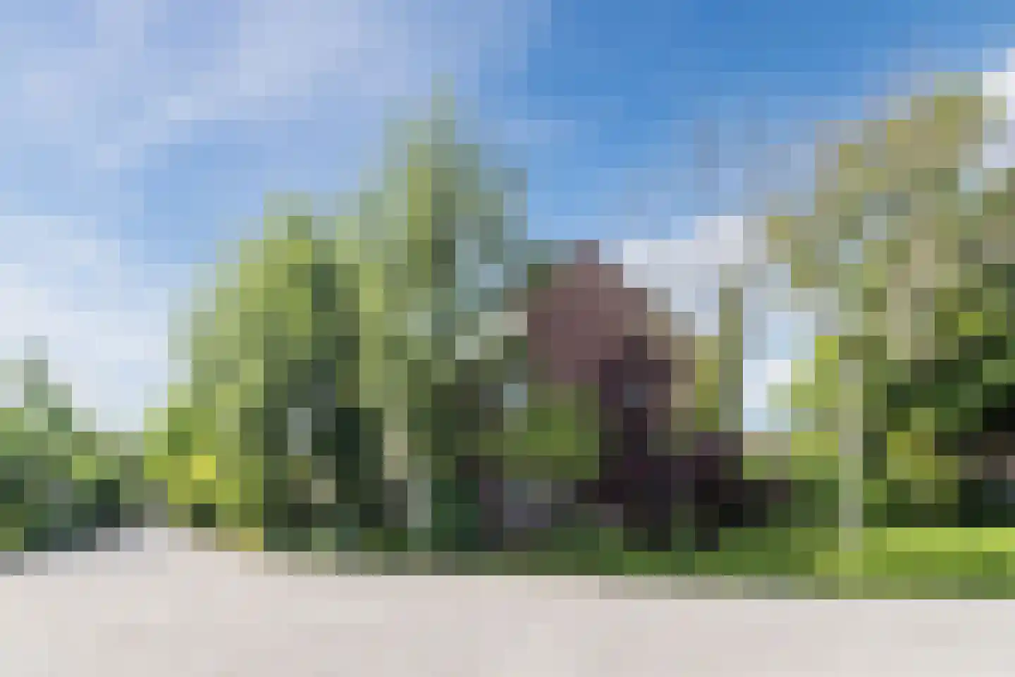 H.P. van der Poellaan 47 Rijpwetering thumbnail 39