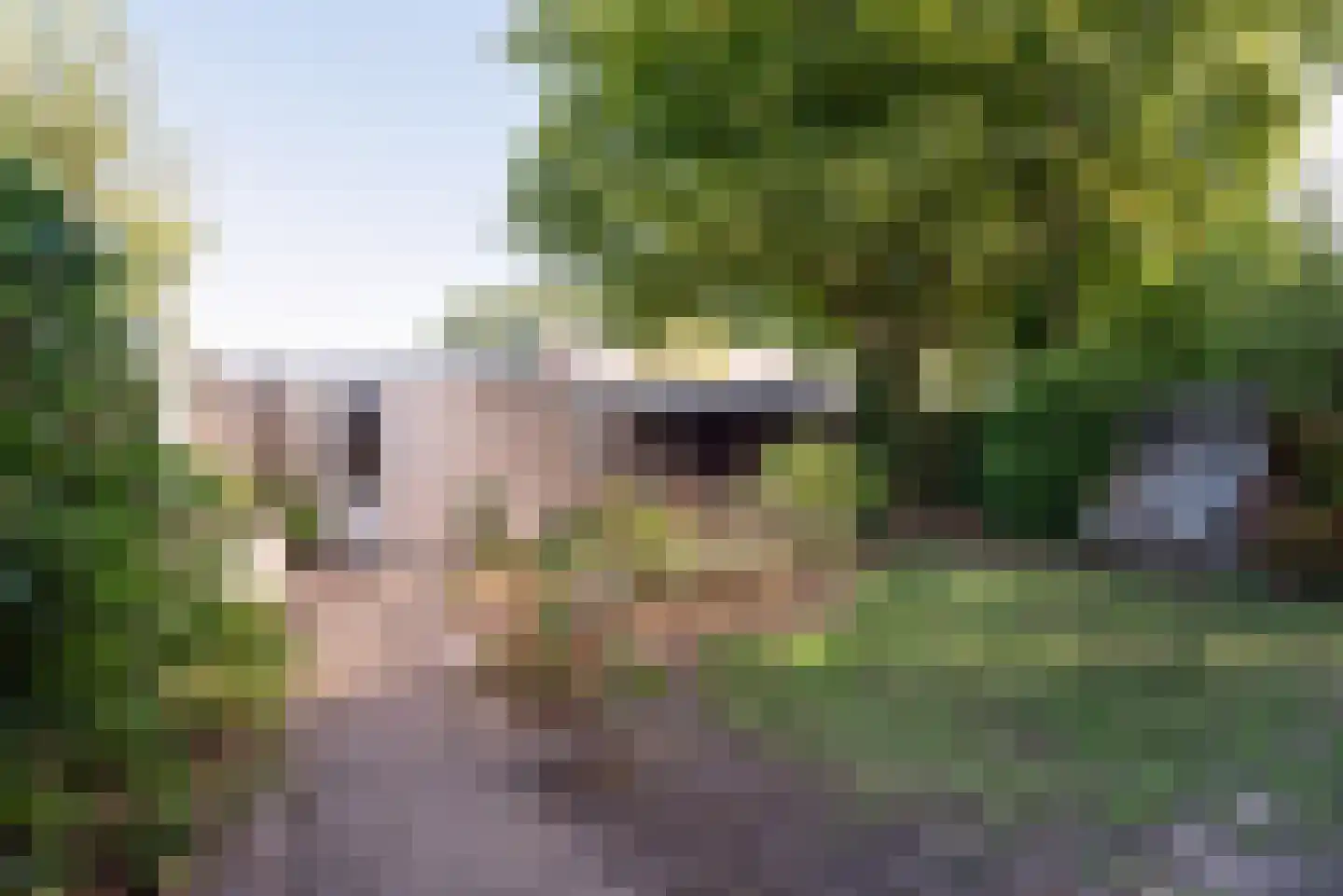 H.P. van der Poellaan 47 Rijpwetering thumbnail 41