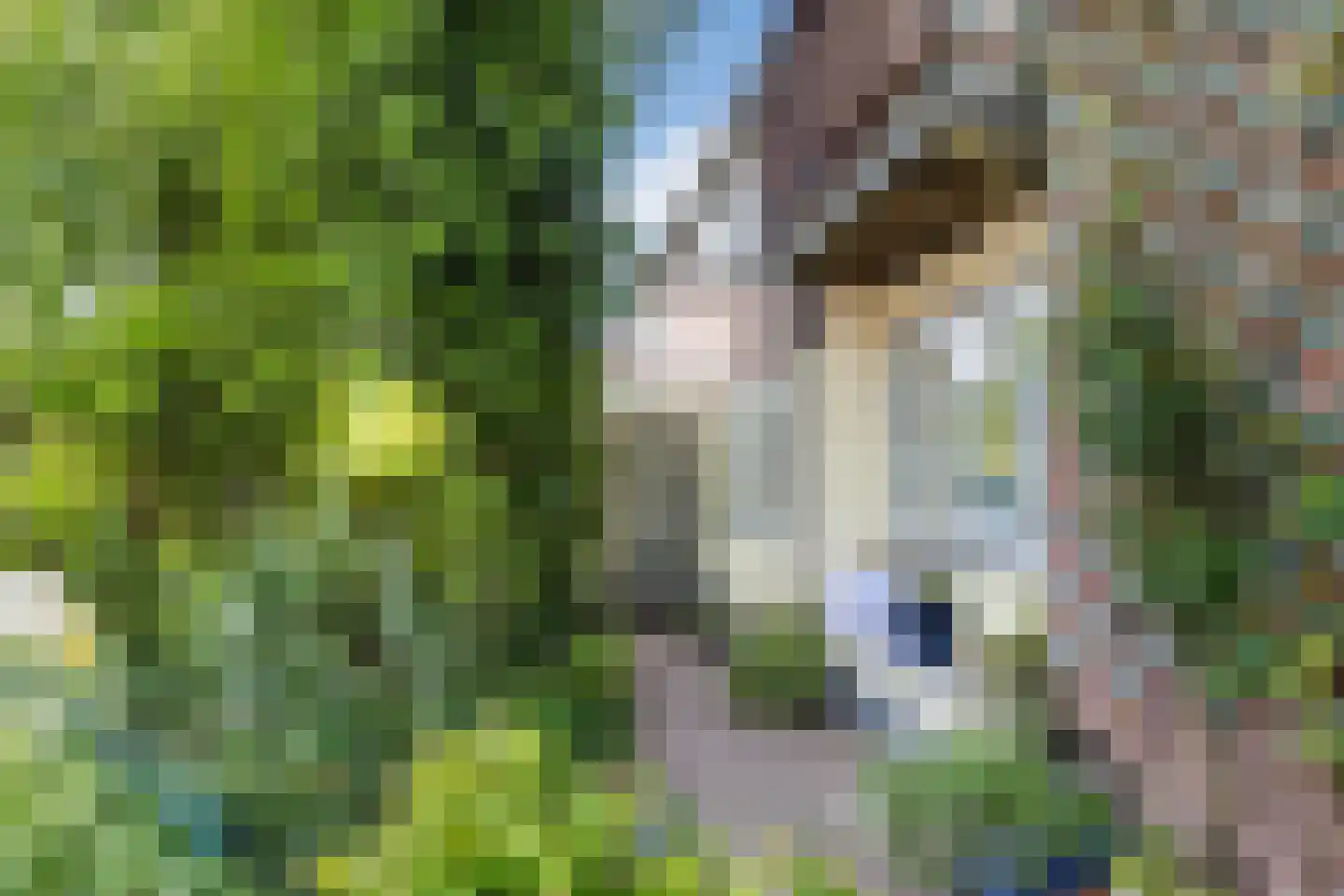 H.P. van der Poellaan 47 Rijpwetering thumbnail 5