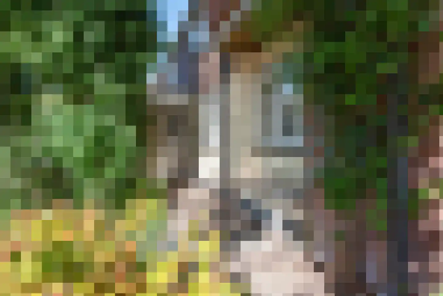 H.P. van der Poellaan 47 Rijpwetering thumbnail 7