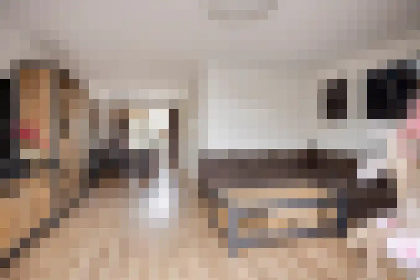 H. Piersonstraat 12 Zetten thumbnail 11