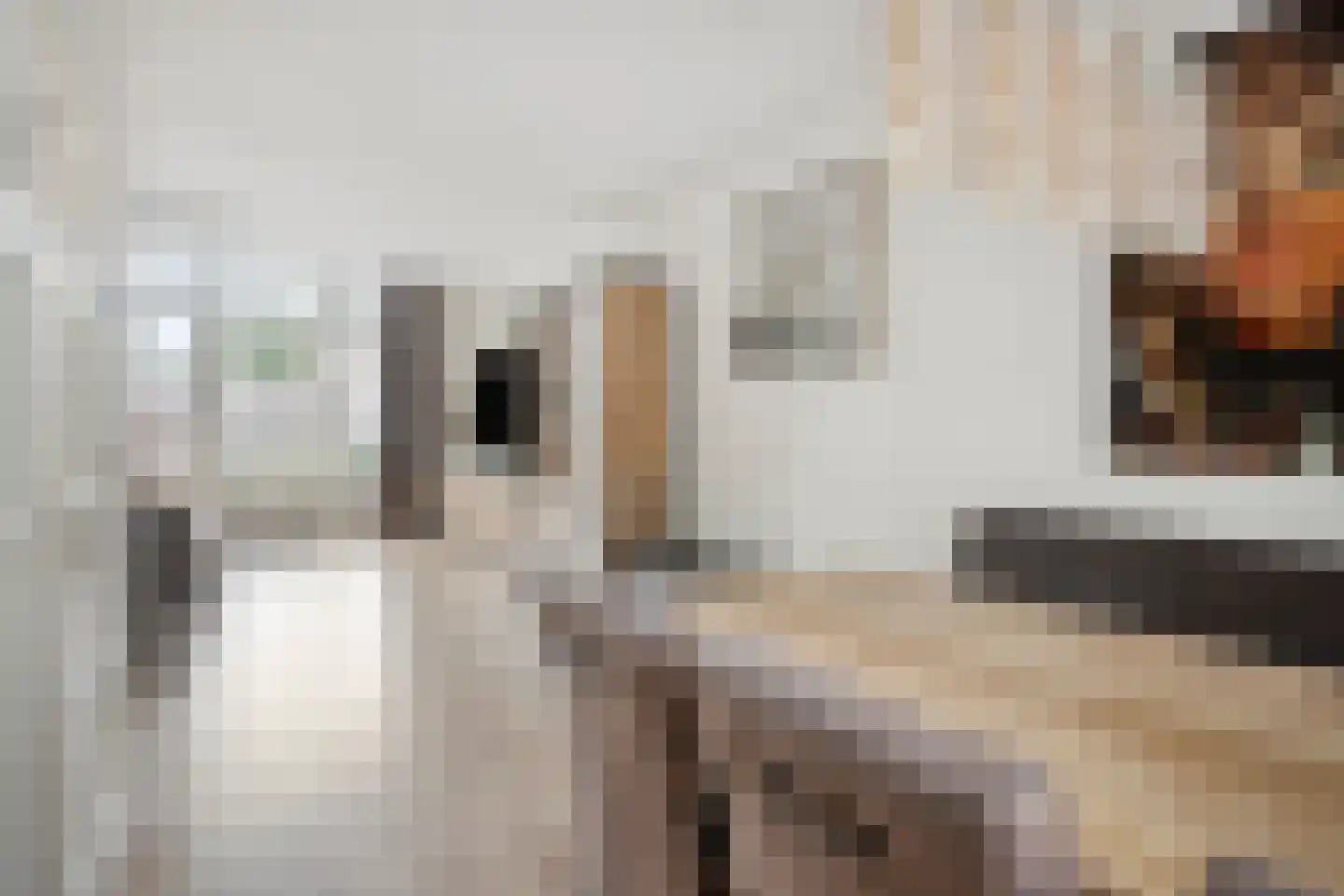 H. Piersonstraat 12 Zetten thumbnail 13
