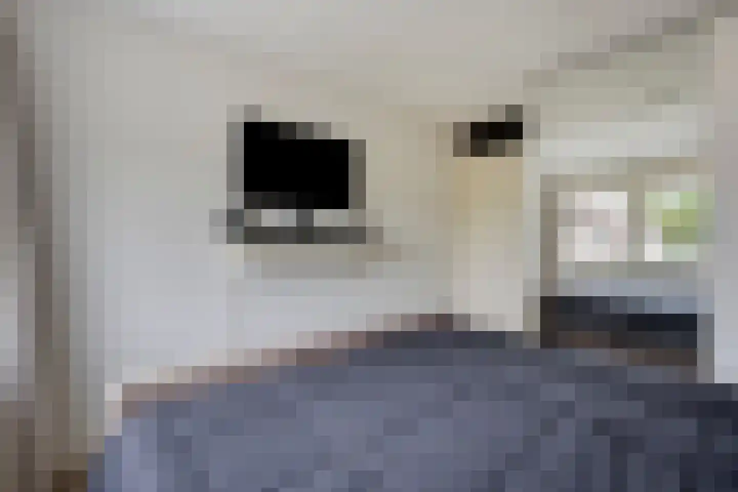 H. Piersonstraat 12 Zetten thumbnail 17