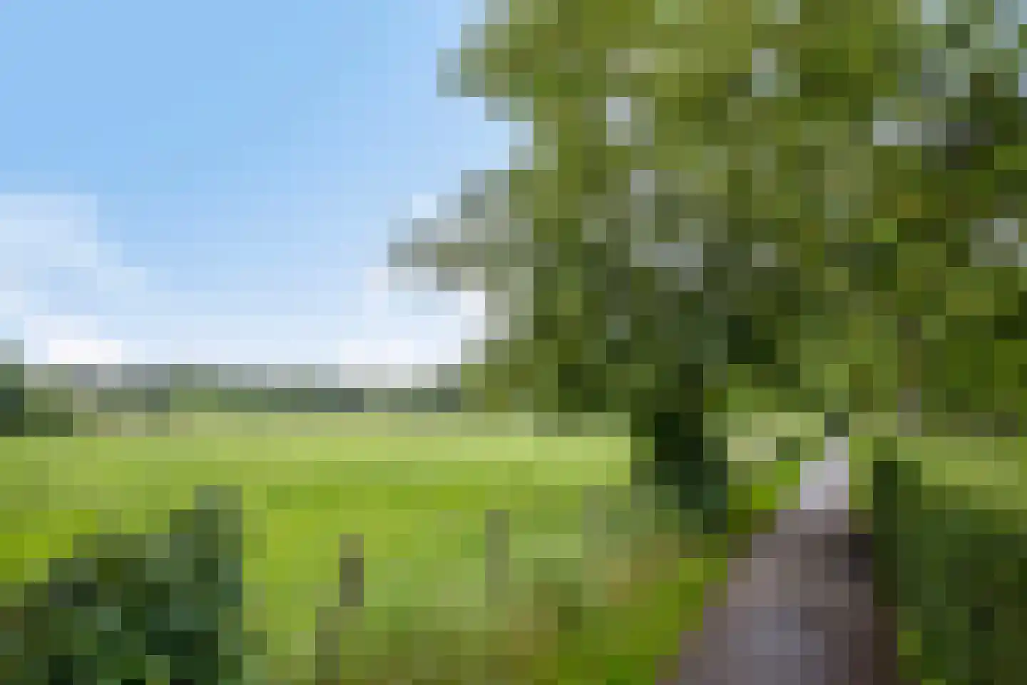 H. Piersonstraat 12 Zetten thumbnail 26