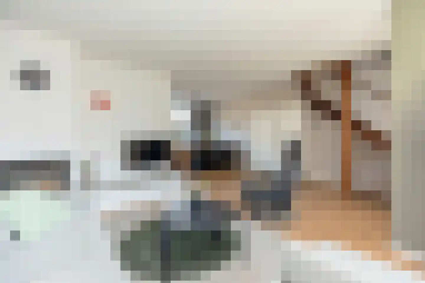 H. Polakstraat 2 Papendrecht thumbnail 5