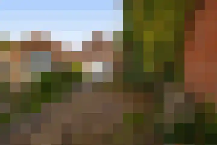 H.R.Remmersweg 6 Finsterwolde thumbnail 21