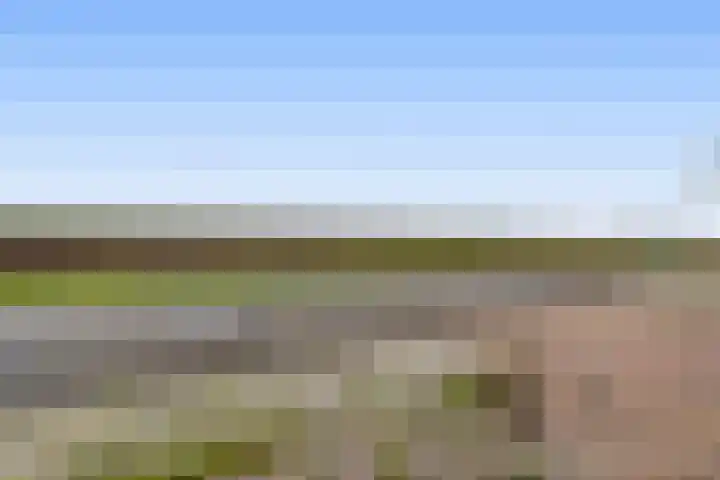 H.R.Remmersweg 6 Finsterwolde thumbnail 25