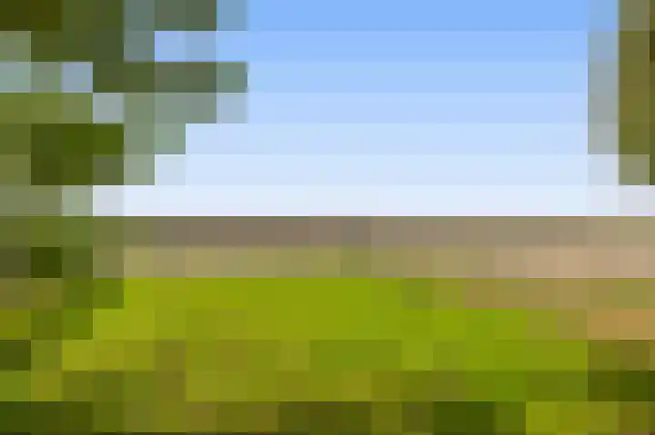 H.R.Remmersweg 6 Finsterwolde thumbnail 26