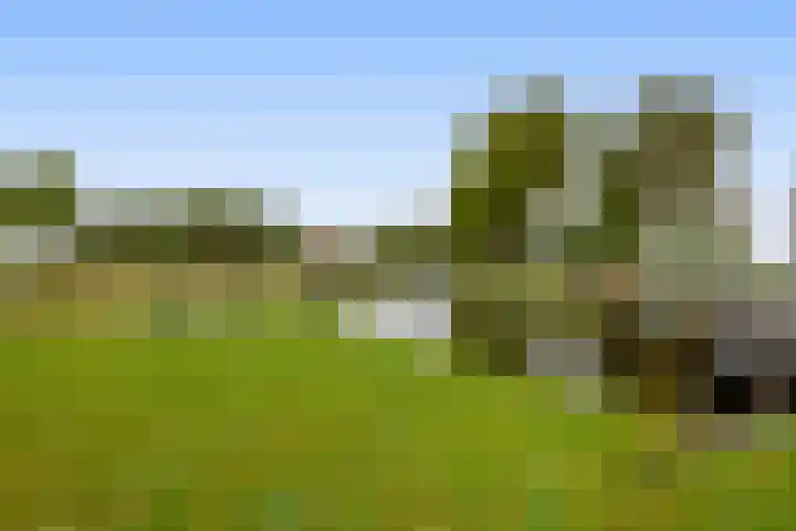 H.R.Remmersweg 6 Finsterwolde thumbnail 29