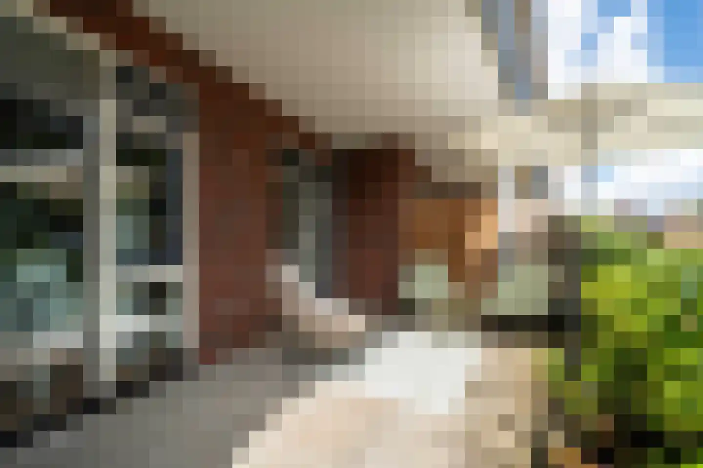 H. Reptonstraat 24 Velserbroek thumbnail 29
