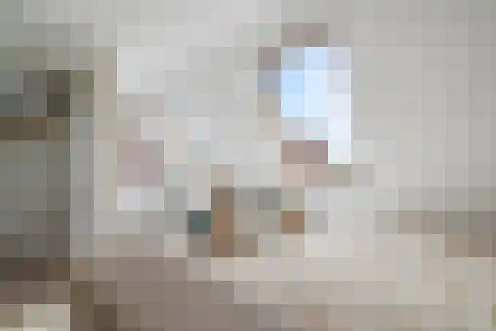 H. Reptonstraat 82 Velserbroek thumbnail 34