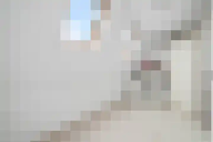 H. Reptonstraat 82 Velserbroek thumbnail 38