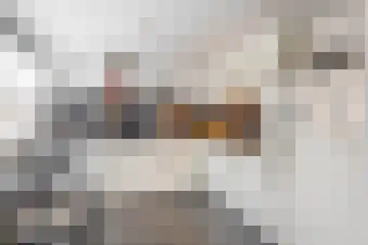 H. Ridderstraat 29 Groningen thumbnail 17