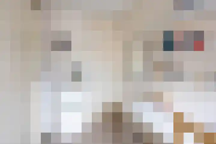 H. Ridderstraat 29 Groningen thumbnail 35