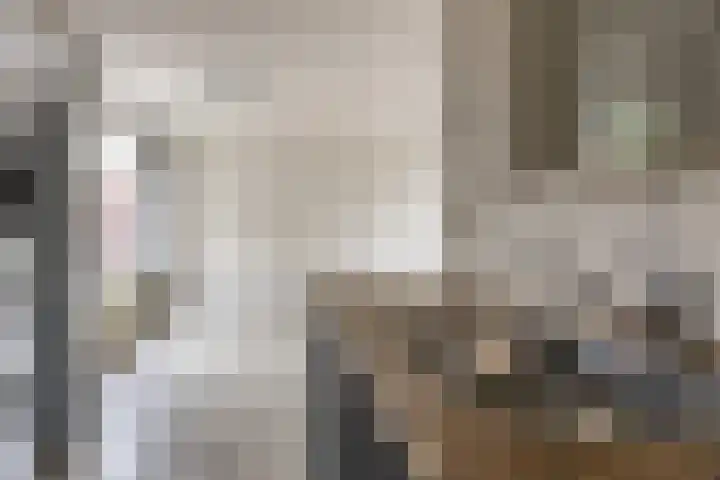 H. Ridderstraat 8 Groningen thumbnail 15