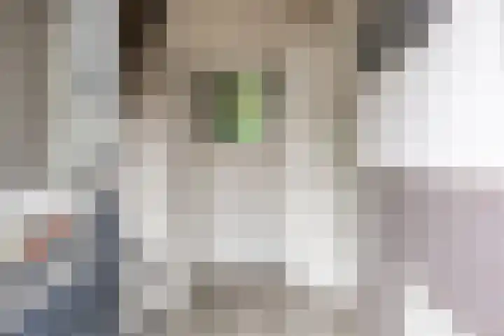 H. Ridderstraat 8 Groningen thumbnail 8