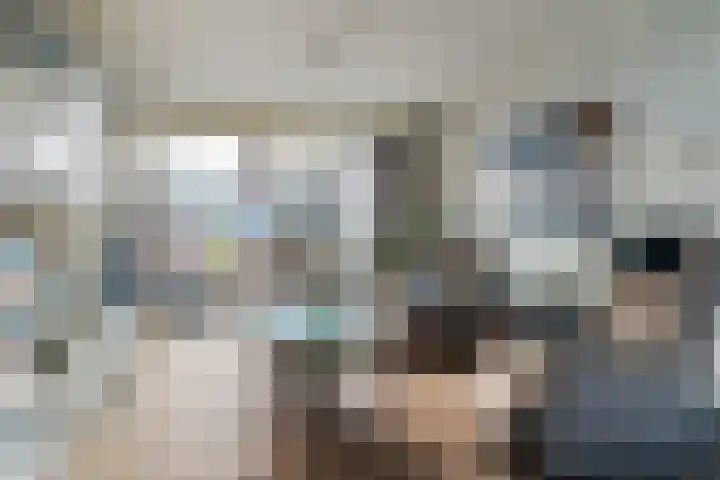 H. Ringenoldusstrjitte 14 Gorredijk thumbnail 12