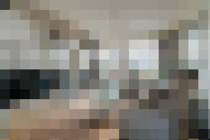 H. Ringenoldusstrjitte 14 Gorredijk thumbnail 13