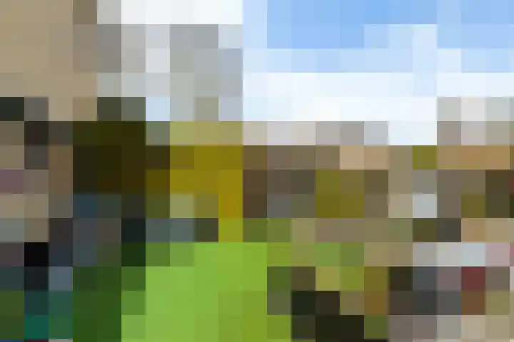 H. Ringenoldusstrjitte 14 Gorredijk thumbnail 23