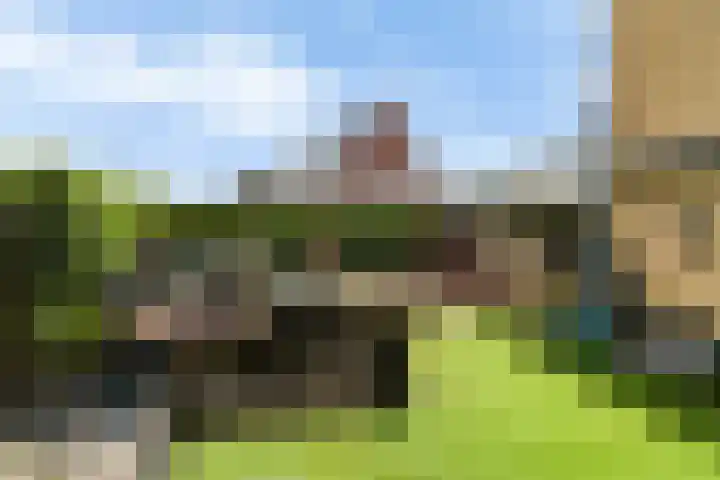 H. Ringenoldusstrjitte 14 Gorredijk thumbnail 24